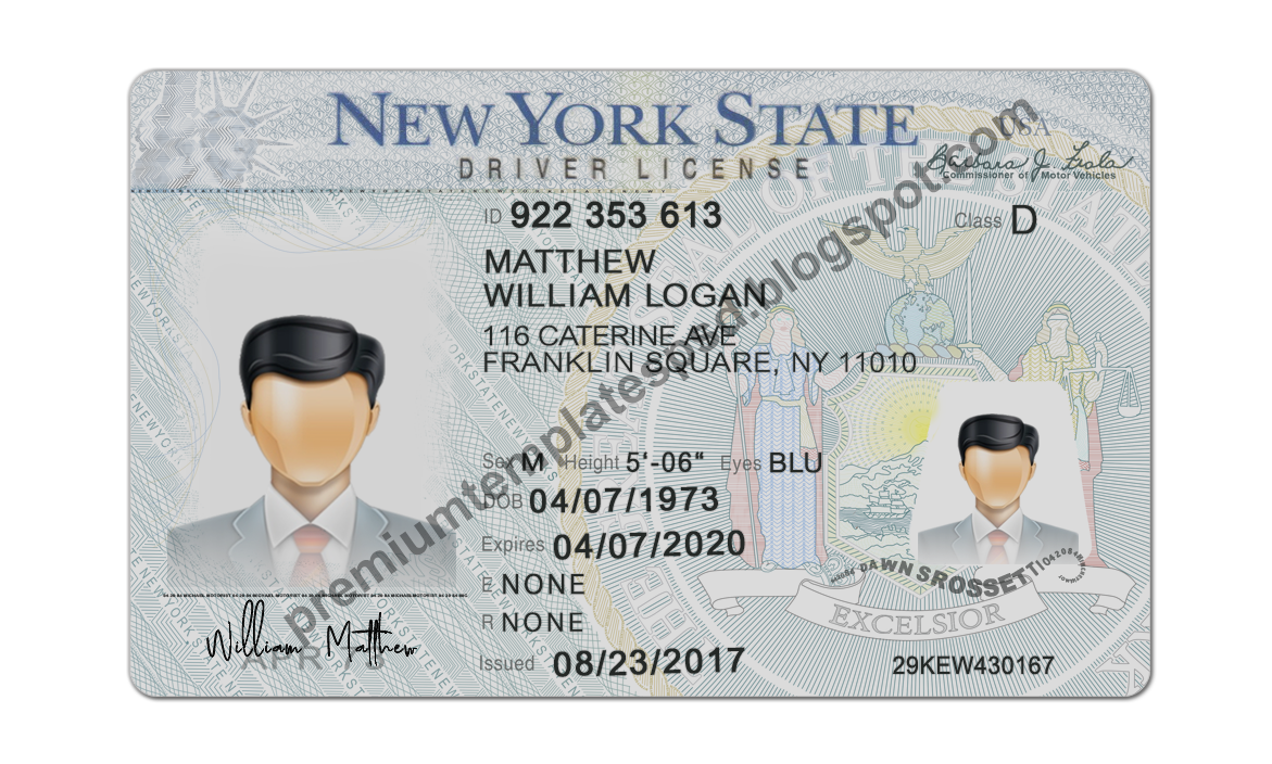 New York Drivers License Template PSD