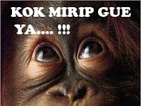 KUMPULAN FOTO KOMENTAR FACEBOOK TERLUCU, TERGOKIL, NGAKAK TERBARU (MEME KOMENTAR FACEBOOK)