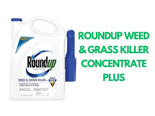 spectracide vs roundup spectracide weed and grass killer vs roundup is spectracide safer than roundup spectracide vs roundup reddit roundup vs spectracide reddit which is better roundup or spectracide is spectracide better than roundup ortho ground clear vs spectracide spectracide weed killer vs roundup roundup vs ortho vs spectracide spectracide vs roundup which is better spectracide extended control vs roundup spectracide weed stop vs roundup which is better spectracide or roundup spectracide vs roundup weed killer spectracide vs roundup vs ortho roundup vs spectracide weed and grass killer roundup for lawns vs spectracide