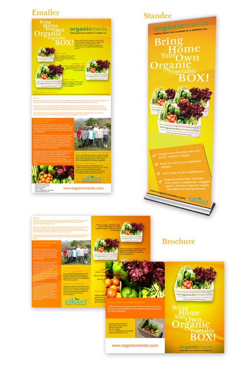  Brochure Design Sample 