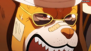 ワンピースアニメ 1047話 イヌアラシ | ONE PIECE Episode 1047