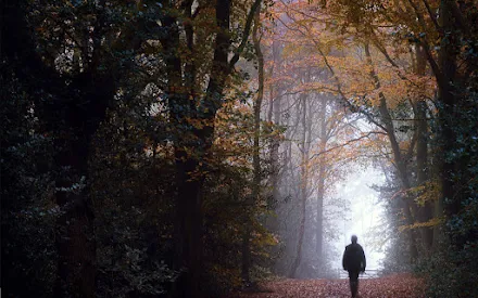 Foto: HOLT COUNTRY PARK - MATTHEW DARTFORD 2-11-12