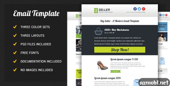 BigSeller - Modern Email Template / Newsletter