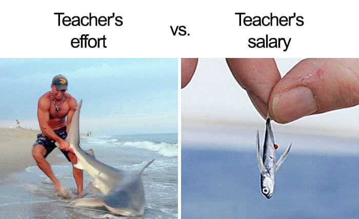 Funny Teacher Memes That Made Us Laugh More Than We Should