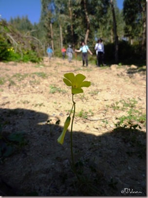 P1050692