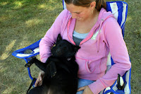 A Schipperke Relaxes on Her Owner's Lap