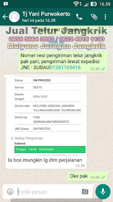 Testimoni Penjual Telur Jangkrik Bpk Mulyono Juragan Jangkrik