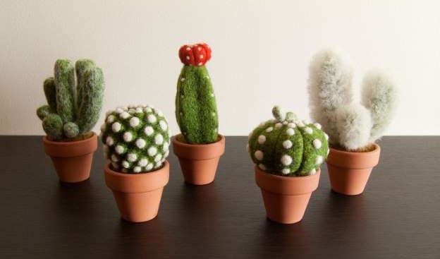 Kamu Pecinta Tanaman Hias Kaktus? 5 Jenis Tanaman Kaktus Ini Wajib Dirumah Anda!