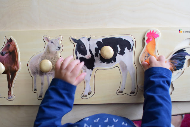 Montessori Friendly Puzzlea - Doron Layeled