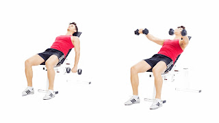 5 best shoulder exercises for beginners in gym(part 2) - fitness club