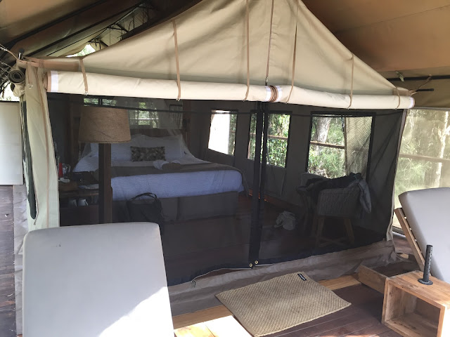 Paperbark Camp Sydney Glamping