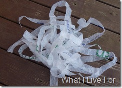 Grocery Sack Yarn