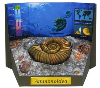 Ammonite Fossil Papercraft