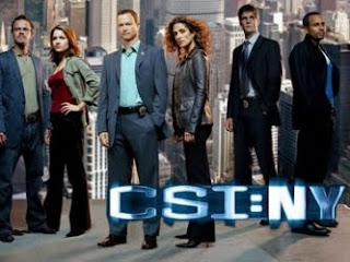 CSI New York 7x10 Sub Español