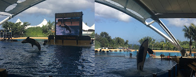 Loro Parque Tenerife