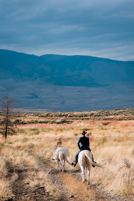 Casal registra belas fotografias de casamento no galope de cavalos