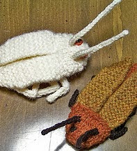 http://www.ravelry.com/patterns/library/cockroach