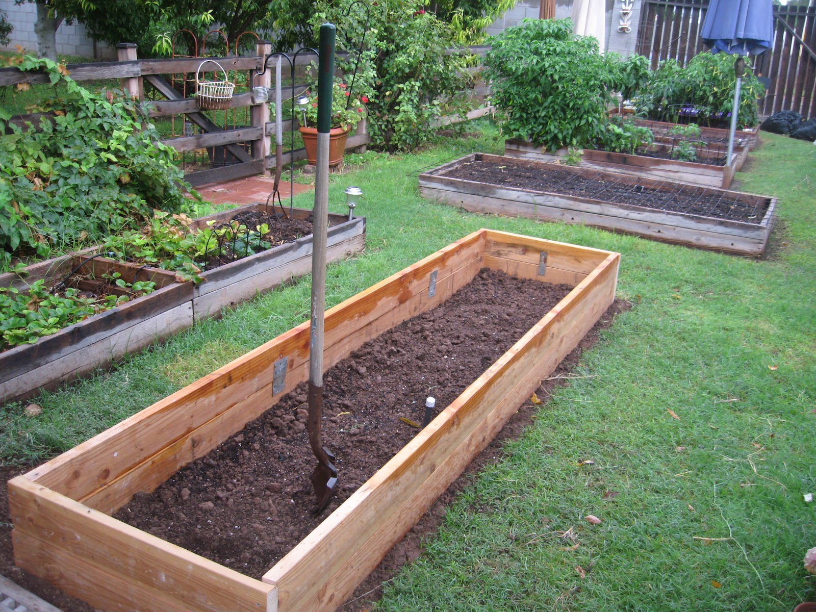 Garden Boxes