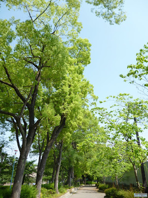 城北公園