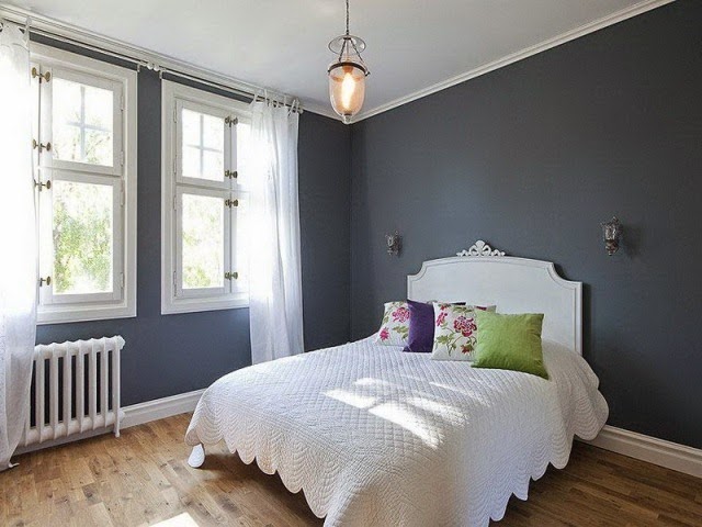 Best Wall Paint Colors for Home