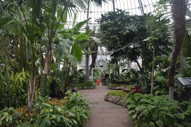 Allan Gardens - Free Things to Do in Toronto - TheCraftyMann.Blogspot.Ca