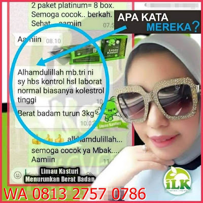 √ Gambar Limau Kasturi ⭐ Bisnis MLM Baru ✅ Bisnis Online