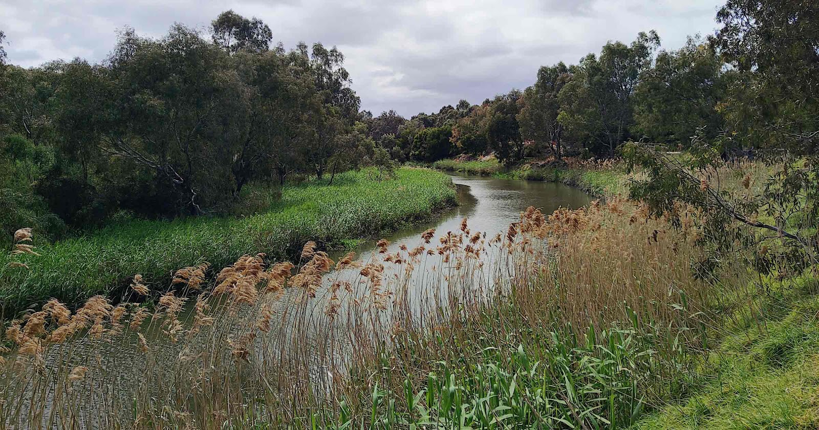 Koroit Creek Trail