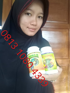 dosis power nutrition