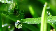 Eid Ul Adha In Islamic Calendar