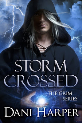 Storm Crossed, paranormal romance, fae, cover, Dani Harper