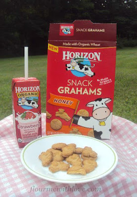 Summer of Imagination #HorizonSnacks