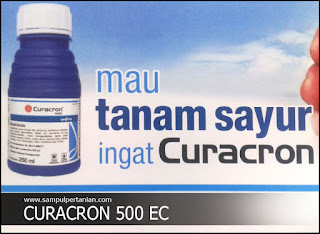 Insektisida Curacron 500Ec Berbahan Aktif  Profenofos 500G/L