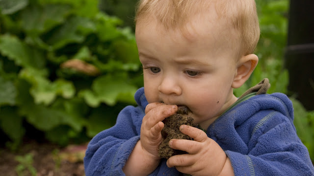 how to stop child from eating soil,chalk,pica