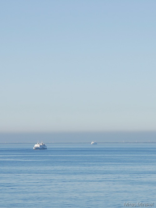 _DSC0425vh