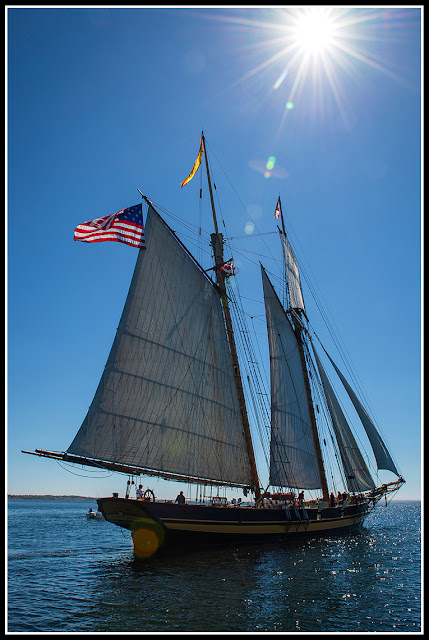 Tall Ships; Lunenburg; Nova Scotia; Sailing; Pride of Baltimore II