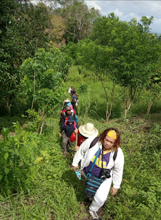Entering Pelawangan, Mount Rinjani Park-Survey of Clean Water Piping and Resources