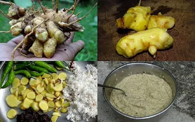 Mango ginger (inji mangai) Curcuma amadaa, plant of the ginger family Zingiberaceae, is made into a wonderful pickle on its own merit, and also in combination with Magali beru and gooseberry?