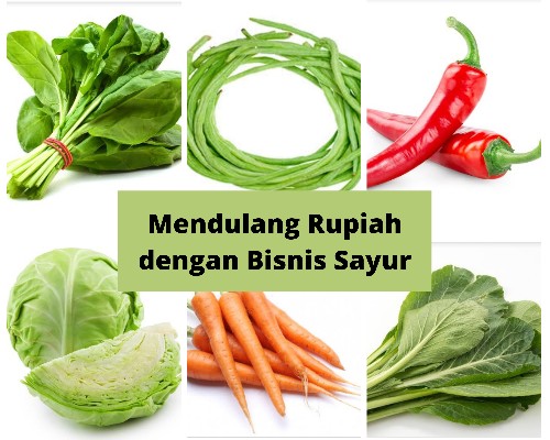 mendulang-rupiah-dengan-bisnis-sayur