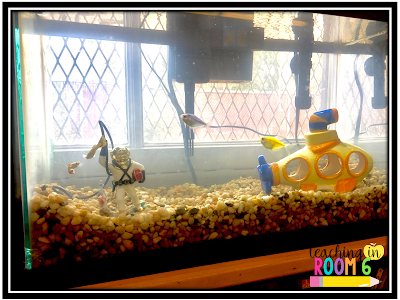 Science standards come to life with a fish tank in the classroom