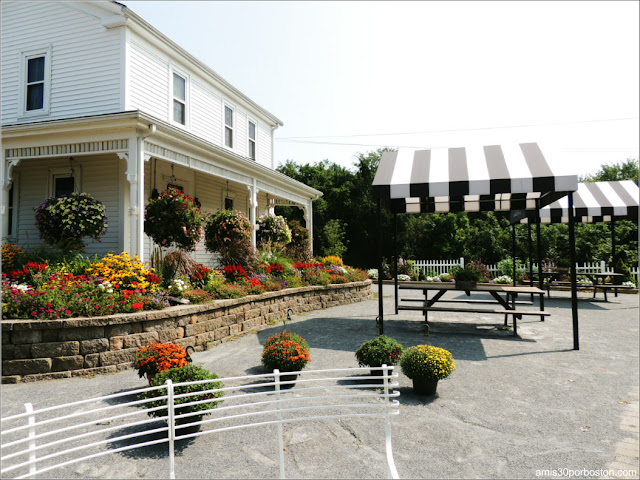 Granjas de Massachusetts: Terraza de la Cider Hill Farm 