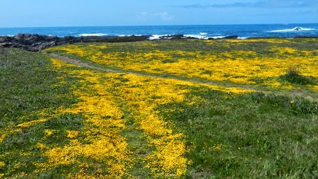 DSCN0044