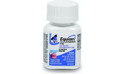 What To Expect From use Equioxx For Horses Long Term?