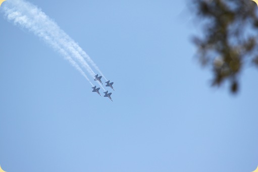 Blue Angels 011