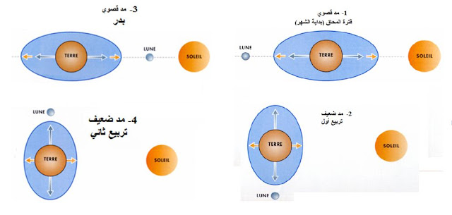 المد والجزر