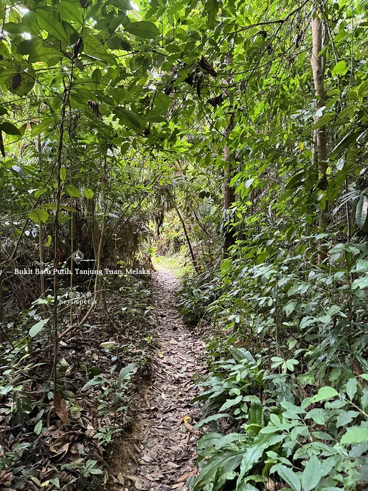 Bukit Batu Putih Tanjung Tuan Melaka