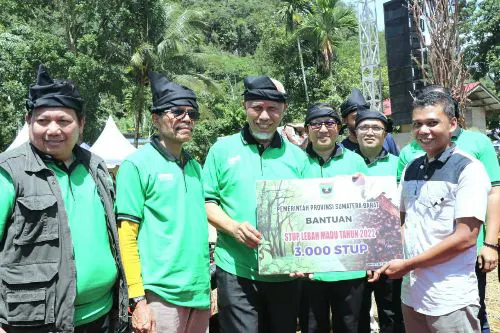 Distribusi Pengelolaan Perhutanan Sosial Capai 60 Persen, Sumbar Dapat Tambahan Alokasi 200 Ribu Hektare