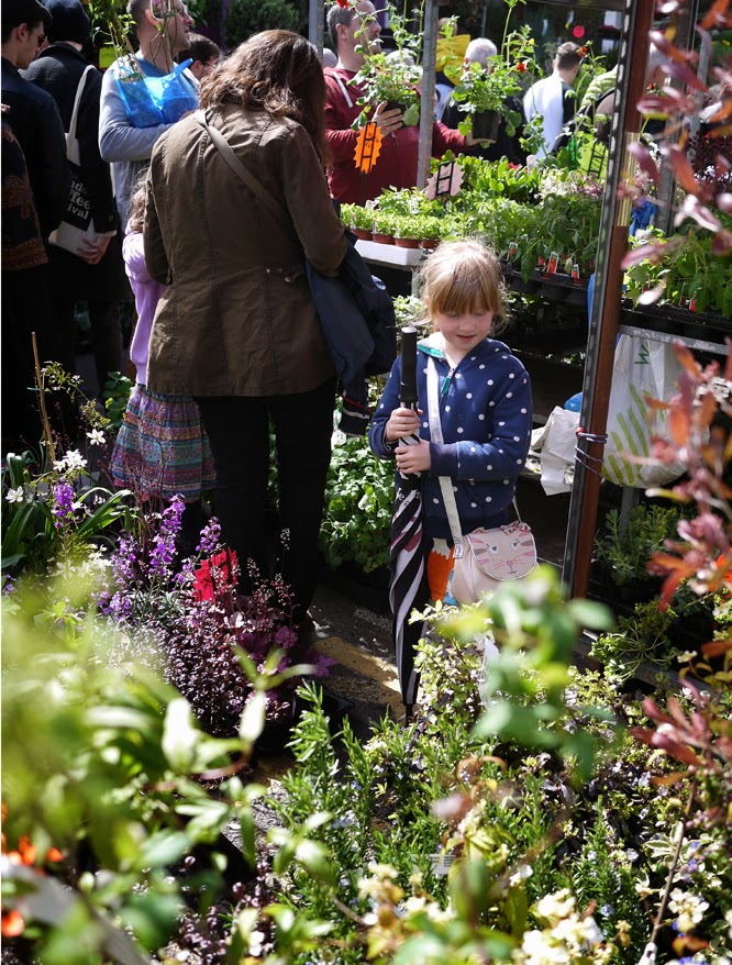 Plant shopping at Columbia Road flower market in April by Alexis www.somethingimade.co.uk