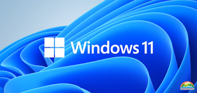 Windows 11