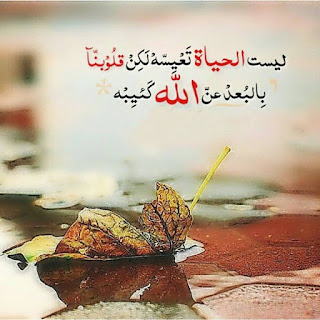 صور رائعة