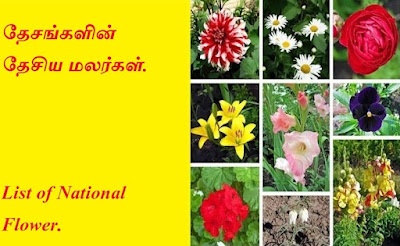 List of National Flower.